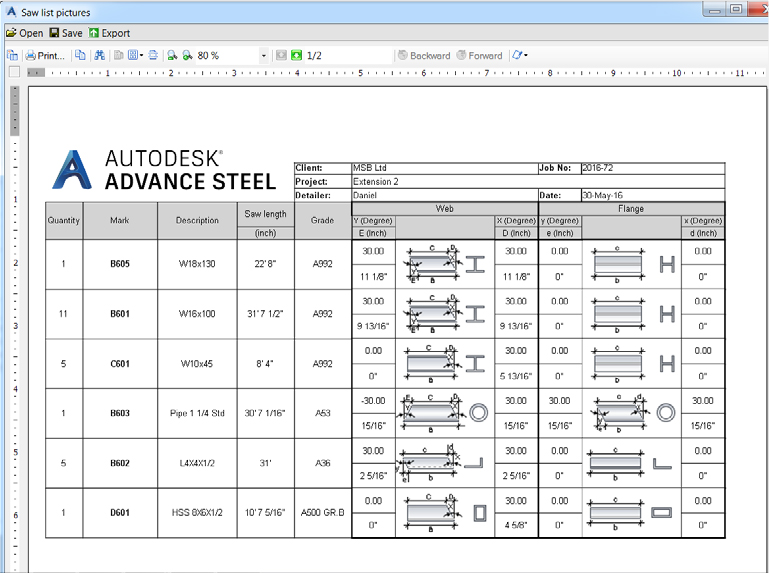 Advance Steel report